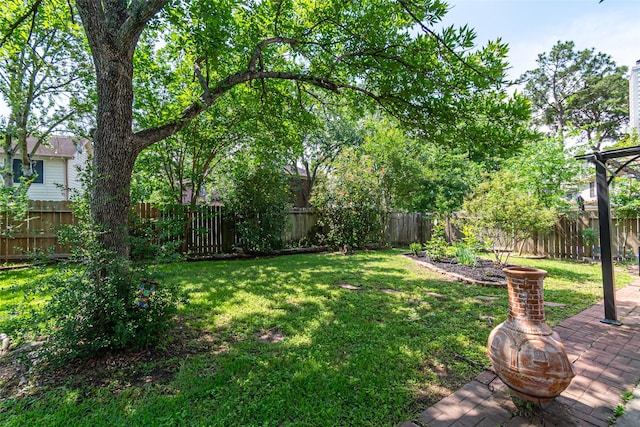20423 Lone Star Oak St, Cypress, TX 77433 - view of yard with a patio area