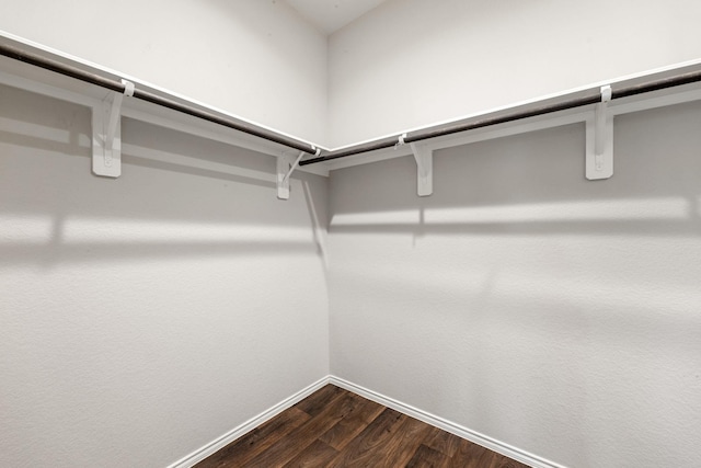 4438 Andorno Dr, Katy, TX 77449 - walk in closet with dark wood-type flooring