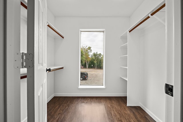 walk in closet with dark wood finished floors