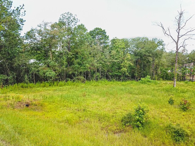 18332 Wisp Willow Way, Porter, TX 77365 - photo 43