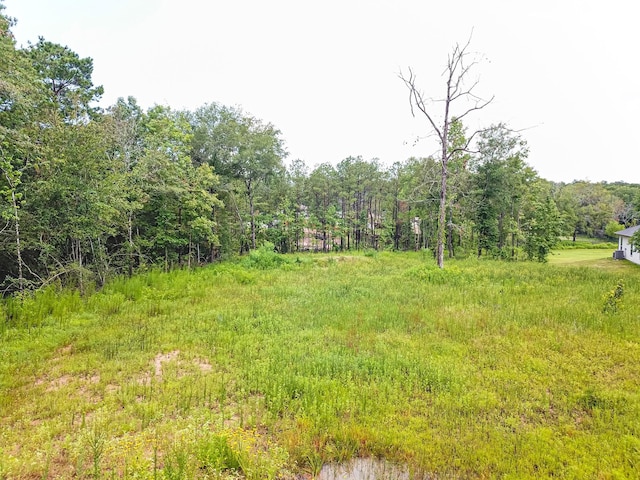 18332 Wisp Willow Way, Porter, TX 77365 - photo 41