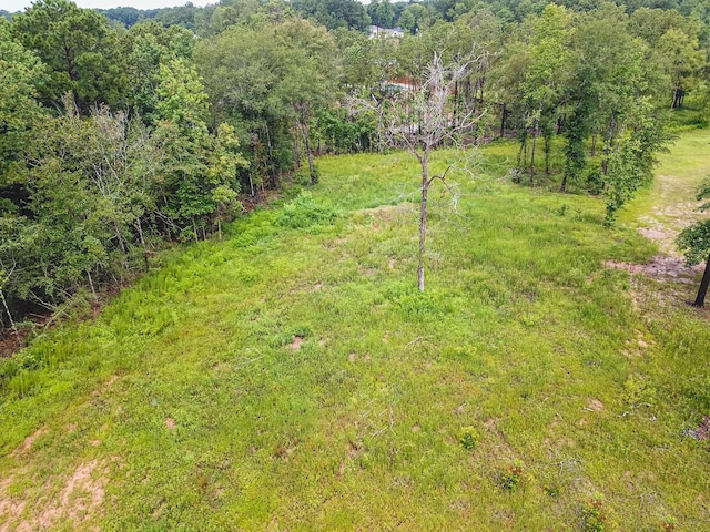 18332 Wisp Willow Way, Porter, TX 77365 - photo 44