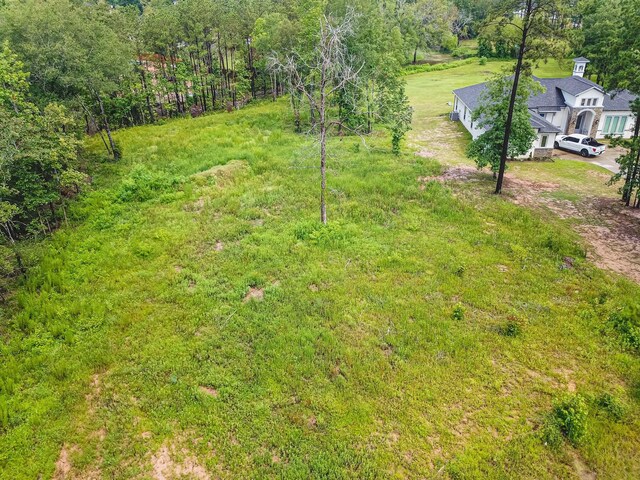 18332 Wisp Willow Way, Porter, TX 77365 - photo 45