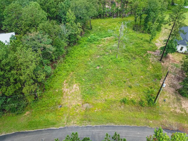 18332 Wisp Willow Way, Porter, TX 77365 - photo 47