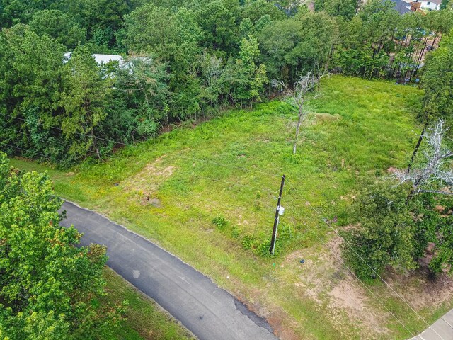18332 Wisp Willow Way, Porter, TX 77365 - photo 48
