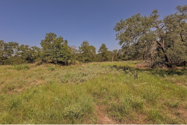 1651 Jdj Dr, New Braunfels, TX 78132 - view of undeveloped land