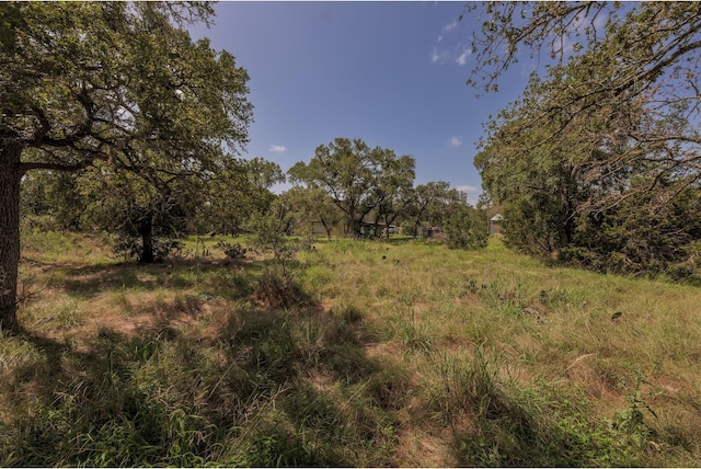 1651 Jdj Dr, New Braunfels, TX 78132 - view of local wilderness