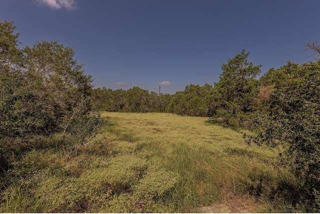 1651 Jdj Dr, New Braunfels, TX 78132 - view of tree filled area