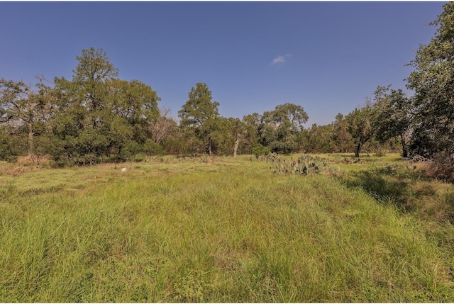 1651 Jdj Dr, New Braunfels, TX 78132 - view of tree filled area