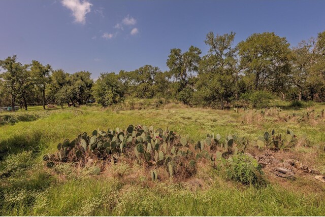 1651 Jdj Dr, New Braunfels, TX 78132 - view of nature