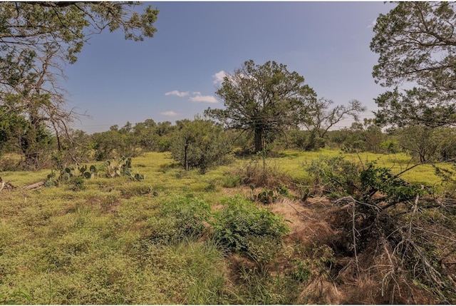 1651 Jdj Dr, New Braunfels, TX 78132 - view of local wilderness