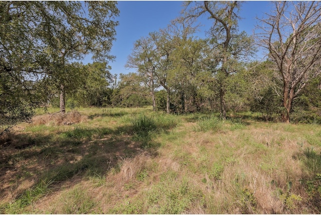 1651 Jdj Dr, New Braunfels, TX 78132 - view of local wilderness