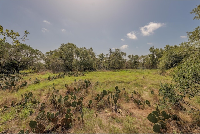 1651 Jdj Dr, New Braunfels, TX 78132 - view of undeveloped land