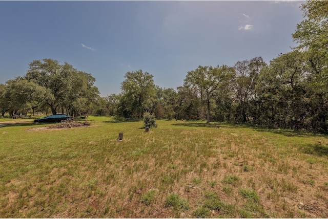1651 Jdj Dr, New Braunfels, TX 78132 - view of green lawn