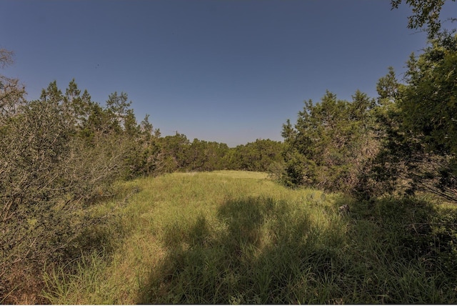 1651 Jdj Dr, New Braunfels, TX 78132 - view of woods