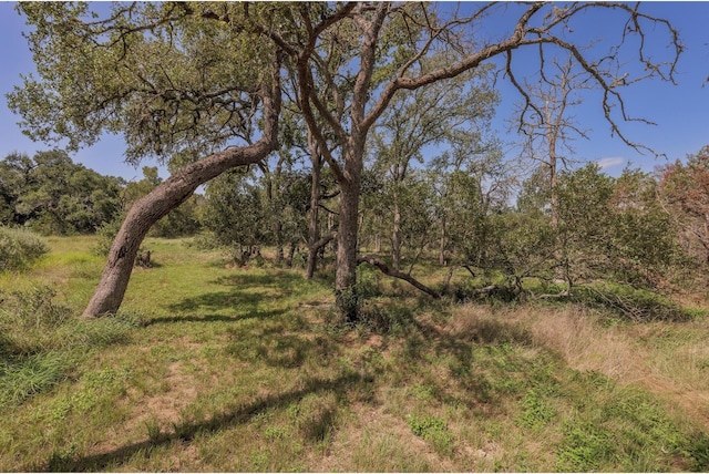 1651 Jdj Dr, New Braunfels, TX 78132 - view of undeveloped land