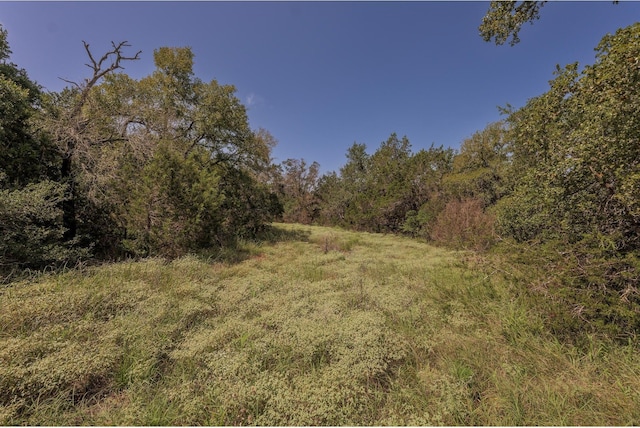 1651 Jdj Dr, New Braunfels, TX 78132 - view of woods