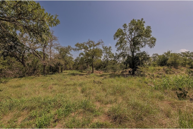 1651 Jdj Dr, New Braunfels, TX 78132 - view of local wilderness