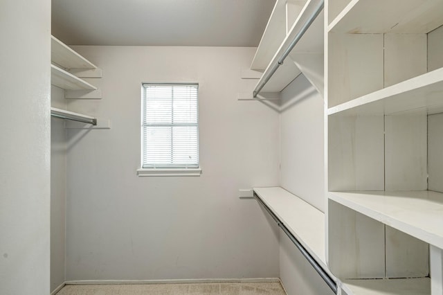 491 N Post Oak Ln Unit 491, Houston, TX 77024 - view of walk in closet