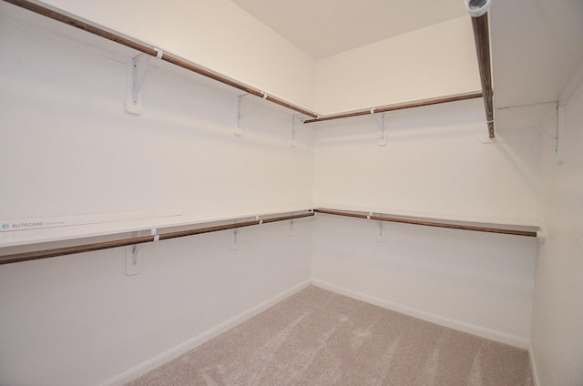 spacious closet with light colored carpet