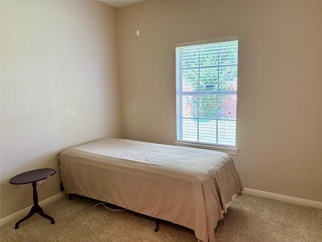 3923 Fordham Park Ct, Pasadena, TX 77058 - bedroom featuring multiple windows, carpet, and baseboards
