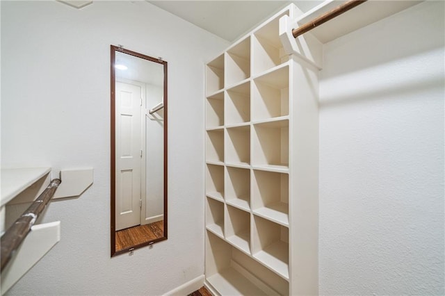 view of walk in closet