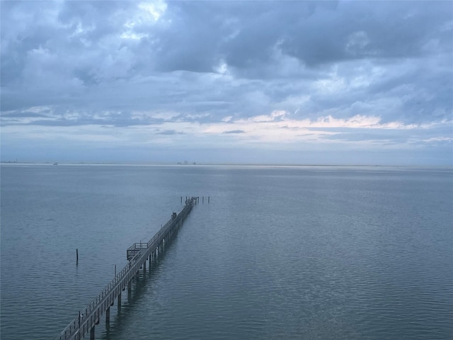 dock featuring a water view
