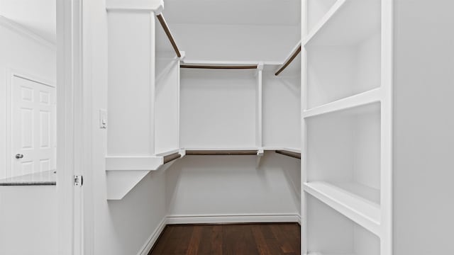 walk in closet with wood finished floors