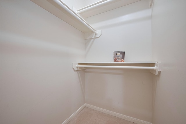 spacious closet with carpet