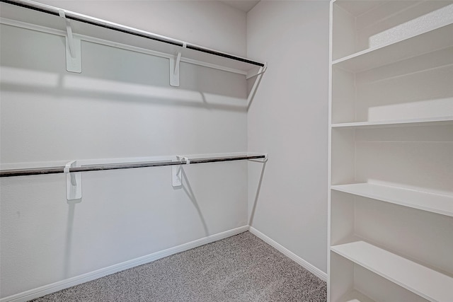 27322 Axis Deer Trl, Magnolia, TX 77354 - walk in closet with carpet flooring