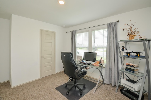 office space featuring carpet floors