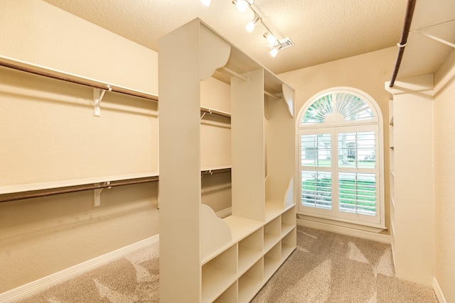 106 Arrowhead Dr, Lake Jackson, TX 77566 - walk in closet with carpet floors