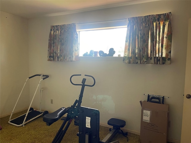 5727 Pebble Springs Dr, Houston, TX 77066 - workout area featuring carpet floors and baseboards