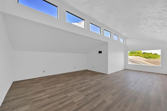 10731 Sageberry Dr, Houston, TX 77089 - bonus room with lofted ceiling, wood finished floors, a textured ceiling, and baseboards
