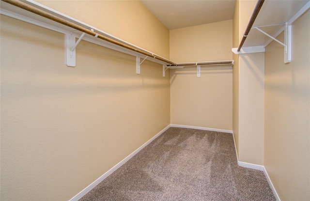 17607 Memorial Falls Dr, Tomball, TX 77375 - spacious closet with carpet