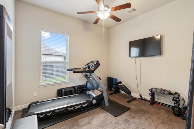 9612 Eden Ridge Ln, Pearland, TX 77584 - exercise room featuring healthy amount of natural light, carpet floors, ceiling fan, and baseboards
