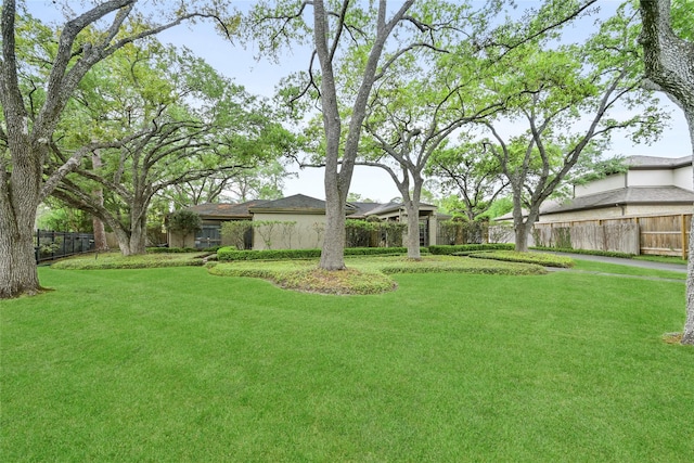 435 Flint Point Dr, Houston, TX 77024 - view of yard