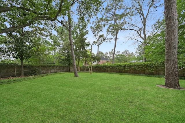 435 Flint Point Dr, Houston, TX 77024 - view of yard