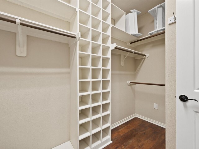 walk in closet featuring wood finished floors