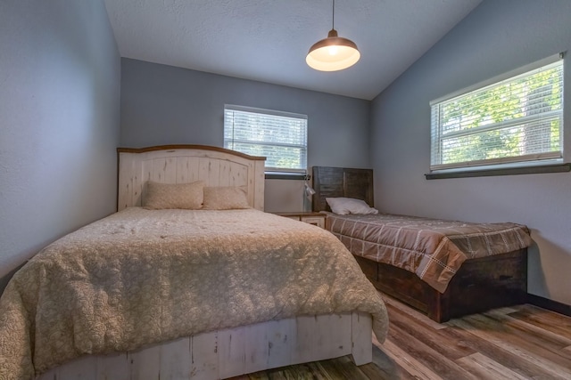 470 S Lakeview Dr, Point Blank, TX 77364 - bedroom featuring vaulted ceiling and wood finished floors