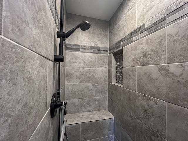 470 S Lakeview Dr, Point Blank, TX 77364 - bathroom with tiled shower