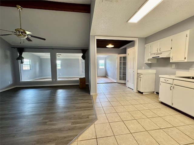 18 Townhouse Ln Unit 18, Trinity, TX 75862 - kitchen featuring healthy amount of natural light, a ceiling fan, white cabinetry, and under cabinet range hood