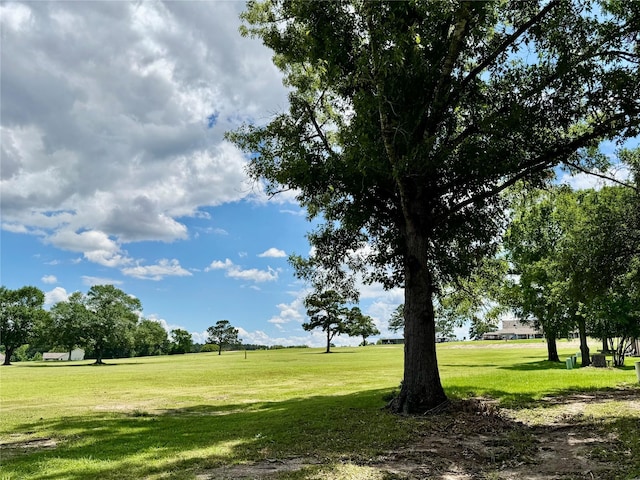 18 Townhouse Ln Unit 18, Trinity, TX 75862 - view of property's community featuring a yard