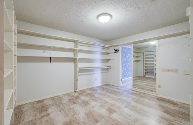 view of walk in closet