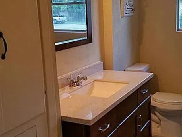 406 Poinsetta St, Lake Jackson, TX 77566 - bathroom with vanity, toilet, and plenty of natural light