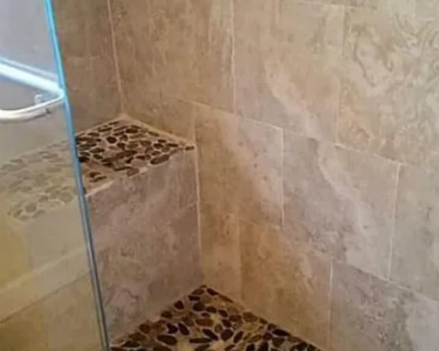 406 Poinsetta St, Lake Jackson, TX 77566 - bathroom view of tiled shower