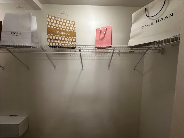 view of walk in closet