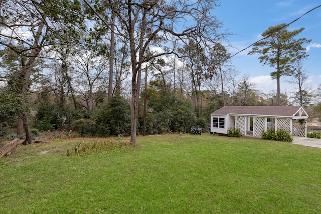 view of grassy yard with driveway