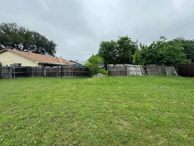 1450 Allegro Dr, Dallas, TX 75241 - view of yard