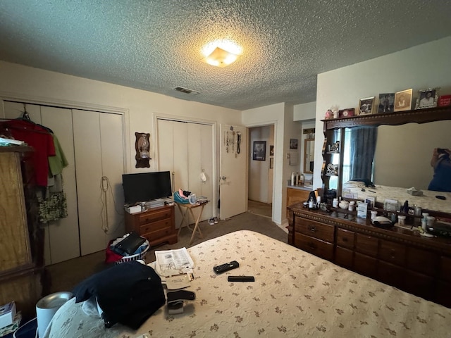 1450 Allegro Dr, Dallas, TX 75241 - bedroom with two closets and a textured ceiling